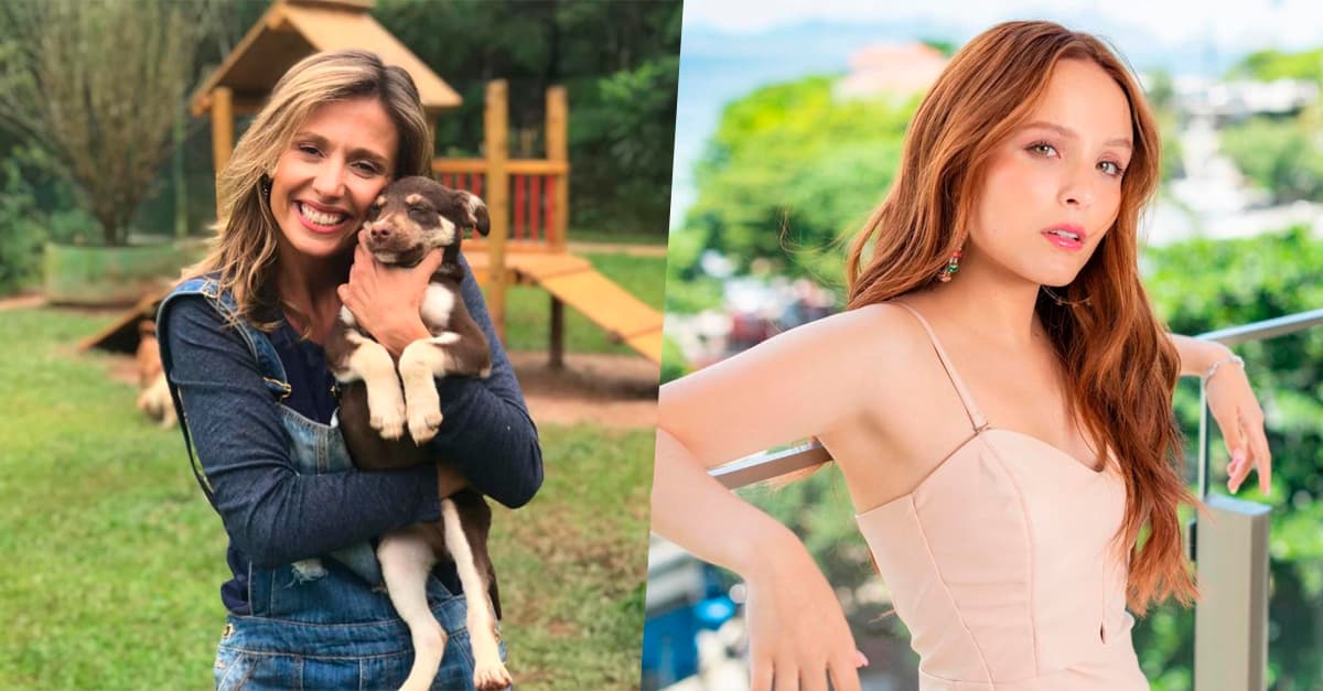 Luisa Mell fala sobre cadela doada por Larissa Manoela: “Estou com o coração em pedaços”