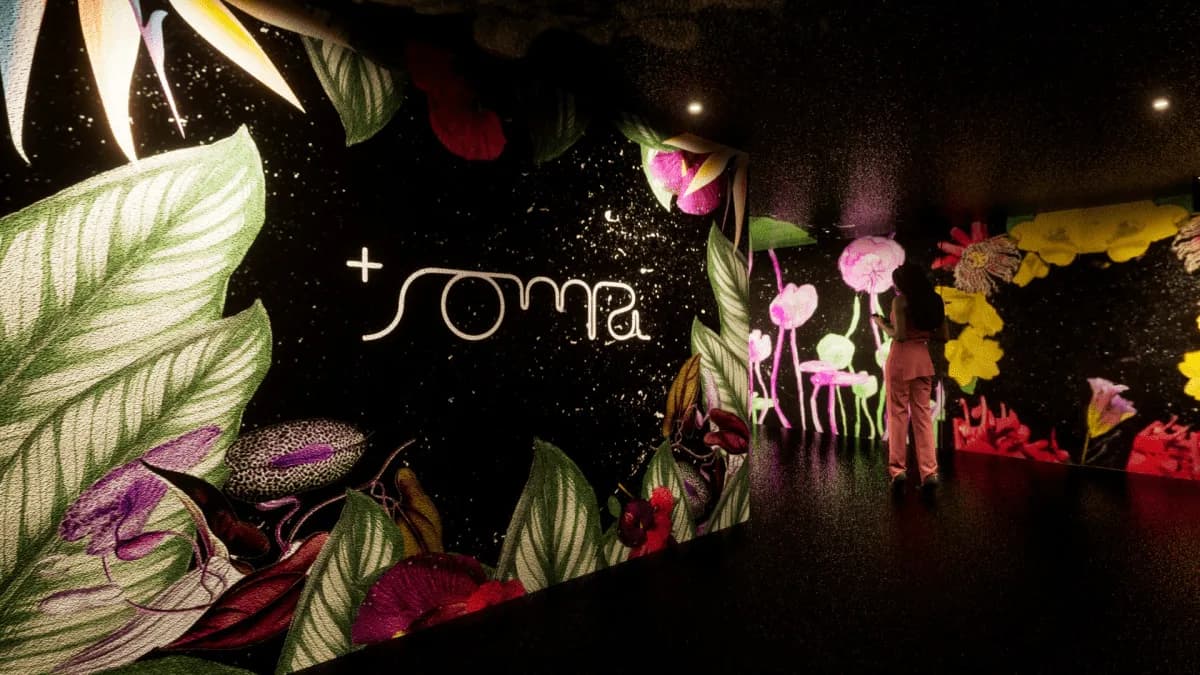 Grupo SOMA estreia camarote para convidados e ativa marcas próprias e de parceiros premium